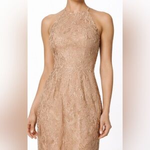 JS Collections Dress Gold Lace Metallic Blush Pink Formal Evening Gown Size 14